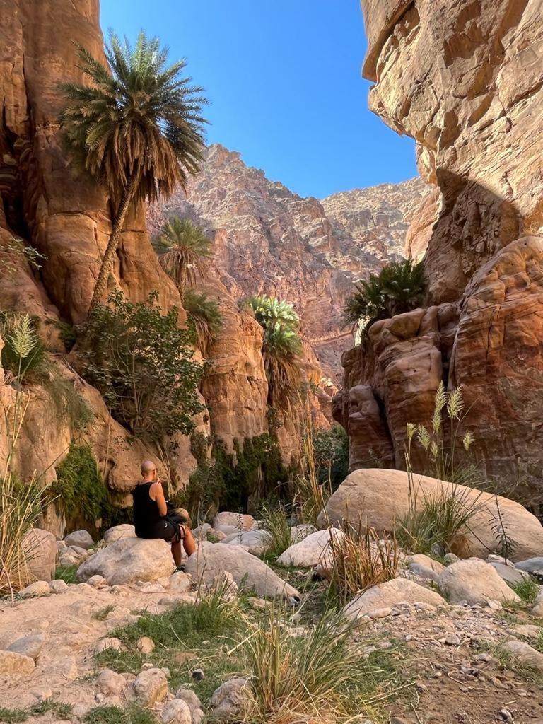 Al-Nawatef Eco Camp- Dana Nature Reserve Eksteriør bilde