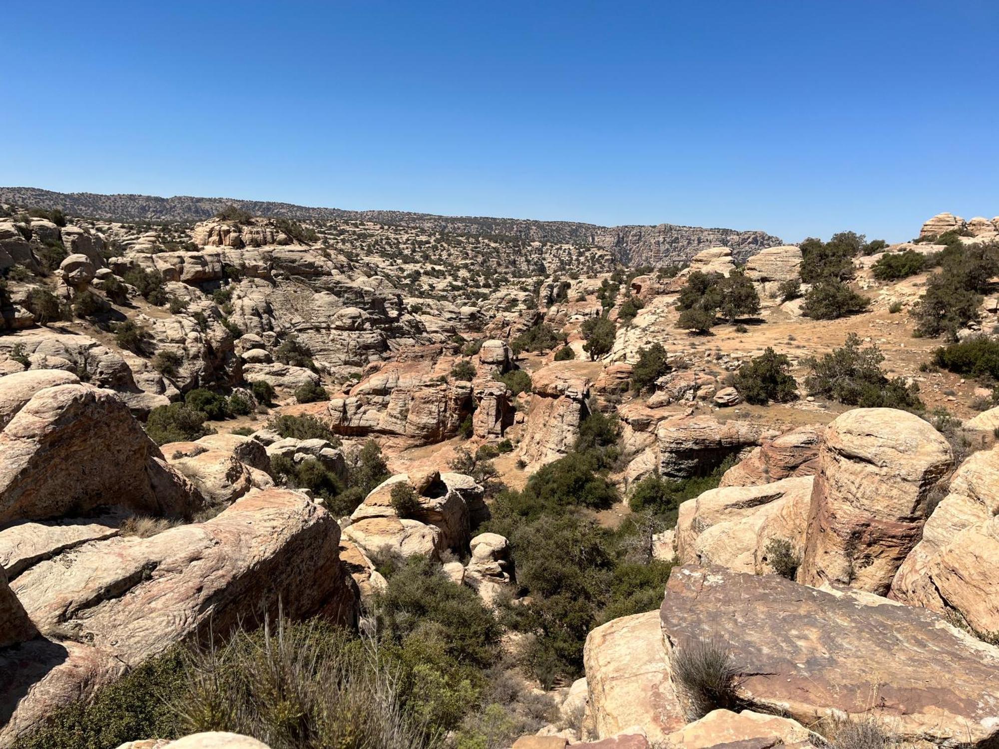 Al-Nawatef Eco Camp- Dana Nature Reserve Eksteriør bilde