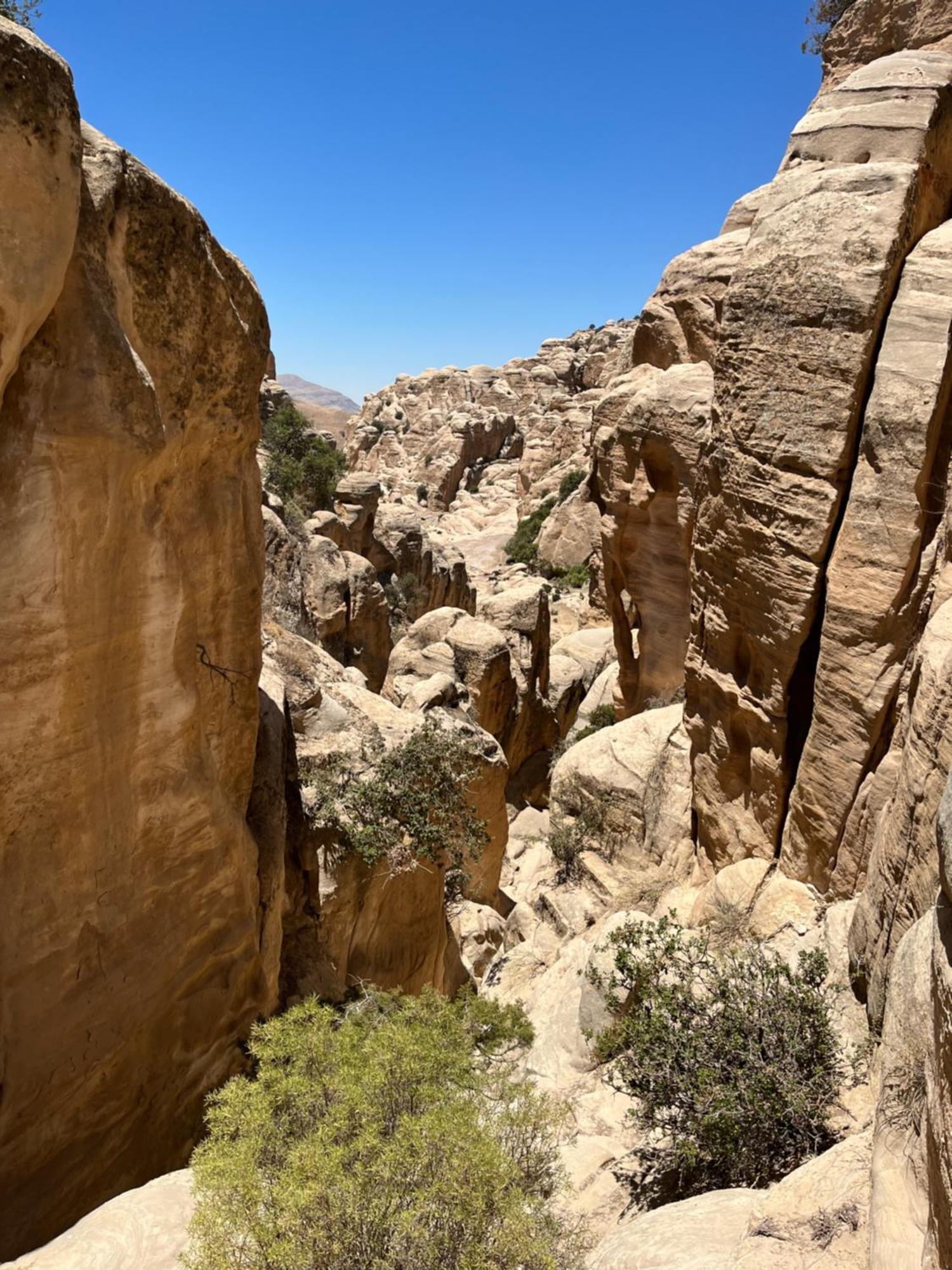 Al-Nawatef Eco Camp- Dana Nature Reserve Eksteriør bilde
