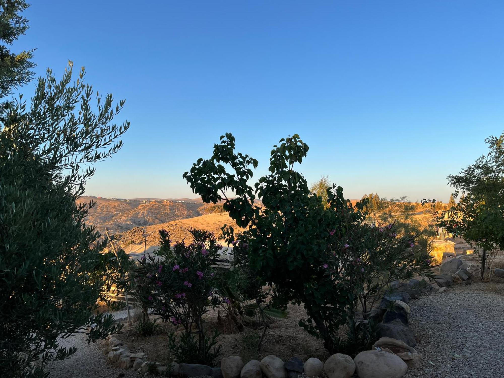 Al-Nawatef Eco Camp- Dana Nature Reserve Eksteriør bilde