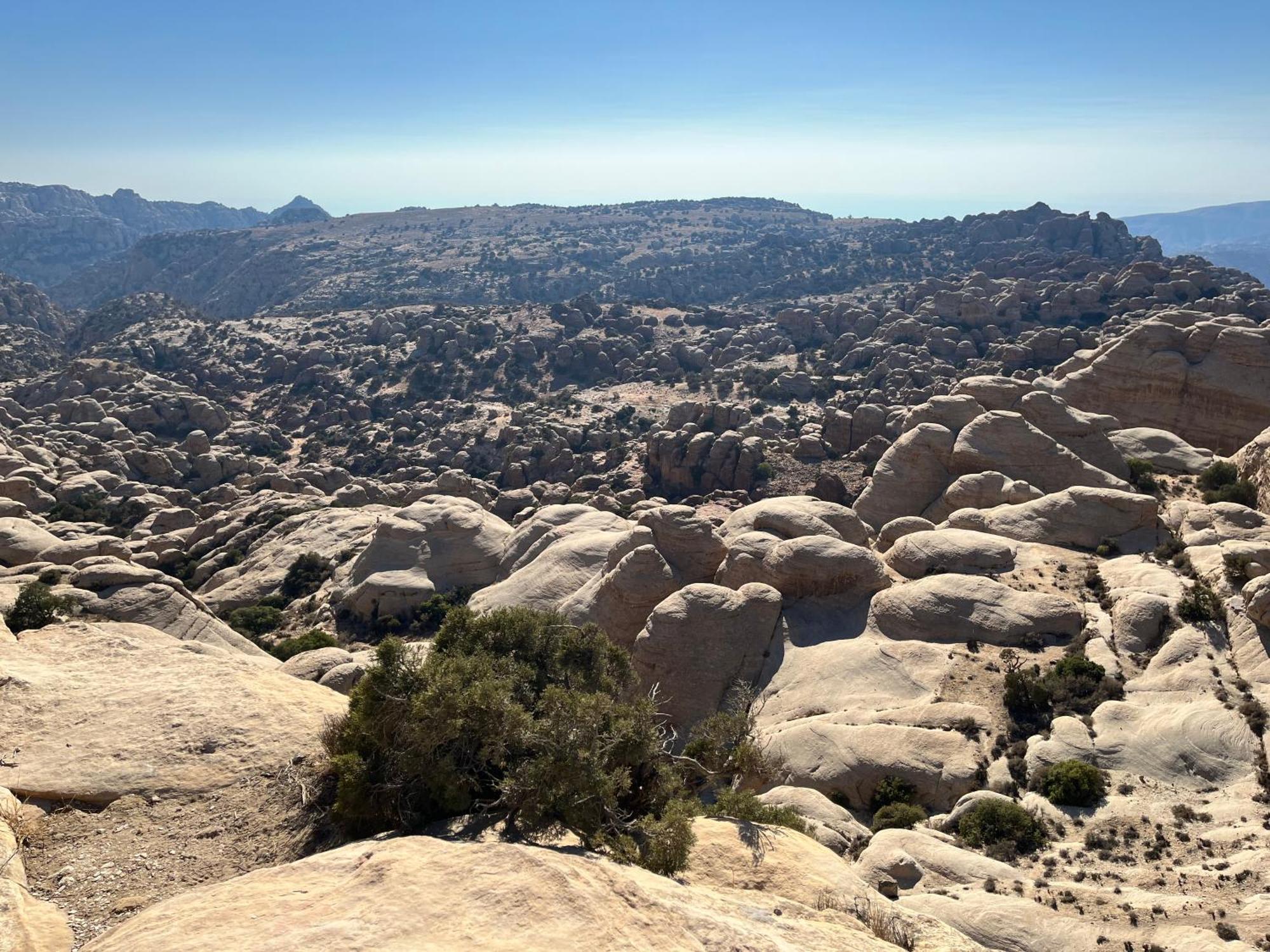 Al-Nawatef Eco Camp- Dana Nature Reserve Eksteriør bilde