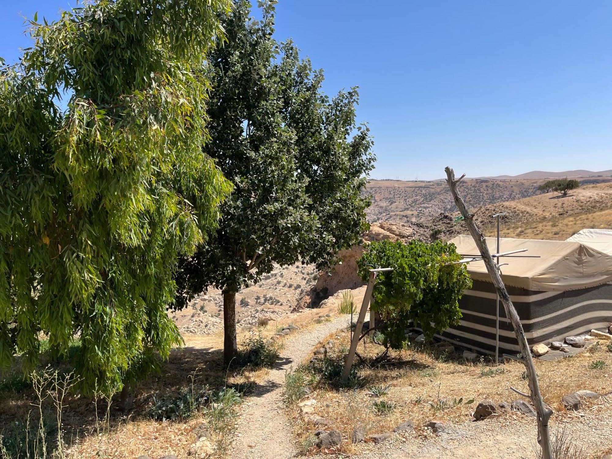 Al-Nawatef Eco Camp- Dana Nature Reserve Eksteriør bilde